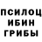 Псилоцибиновые грибы Psilocybine cubensis Elena Pon