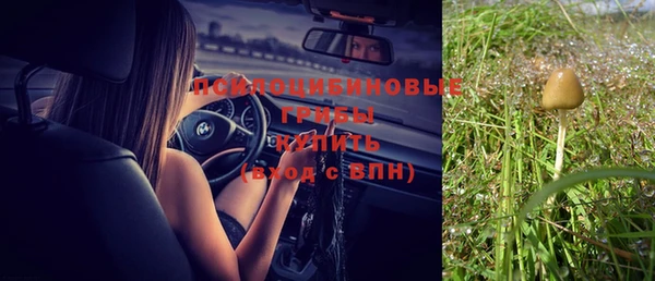 шишки Алексин
