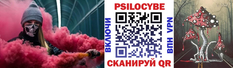 кракен tor  Новоульяновск  Псилоцибиновые грибы Magic Shrooms 